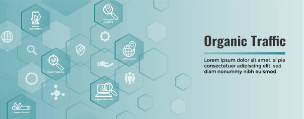 افزایش ترافیک ارگانیک با استراتژی سئو محتوا