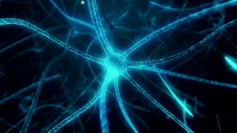 تصویر مفهومی ارتباط Core Web Vitals با سرعت پردازش اطلاعات در مغز و تاثیر آن بر سئو