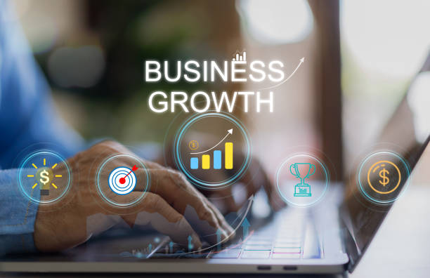 استراتژی رشد کسب و کار آنلاین و موفقیت مالی