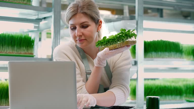 متخصص تغذیه در حال فروش محصولات ارگانیک به عنوان بخشی از برندینگ دیجیتال