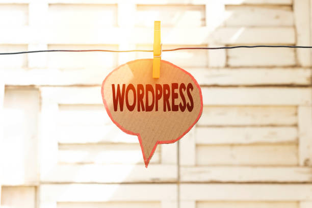 وردپرس، ابزاری قدرتمند برای کسب و کارهای آنلاین لوگوی وردپرس و ایده کسب و کار آنلاین