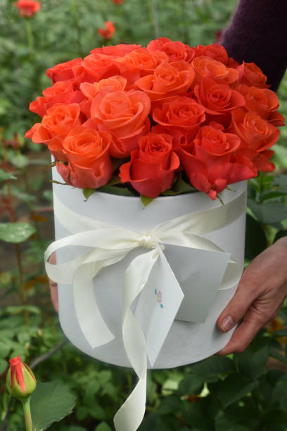 برندینگ دیجیتال لوکس با پینو سایت برای مزون عروس در ایلام
