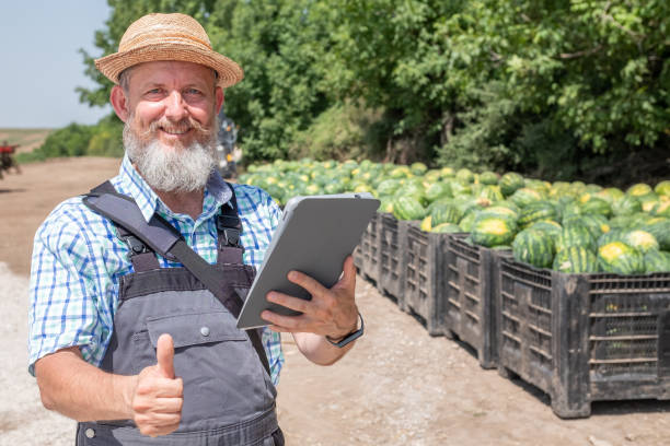 طراحی سایت فروش مستقیم برای باغداران سیب و انگور در ارومیه