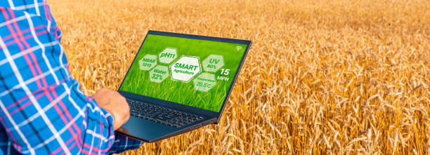 مشاوره بازاریابی دیجیتال برای کشاورزان