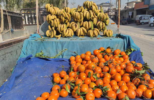 لجستیک و ارسال در فروش آنلاین میوه و مرکبات