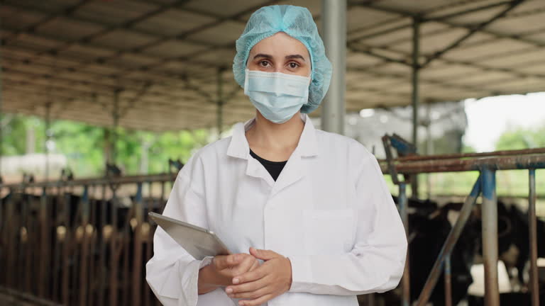 طراحی وبسایت فروشگاهی در ایران: فرصتی برای کلینیکهای دامپزشکی در اندیشه