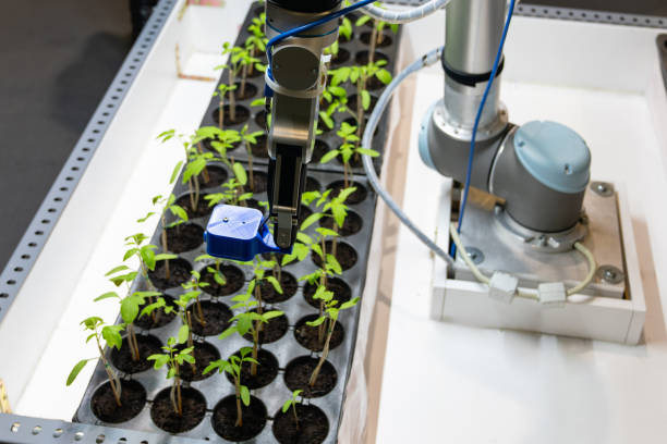 تکنولوژی و دقت در صنعت با طراحی سایت B2B