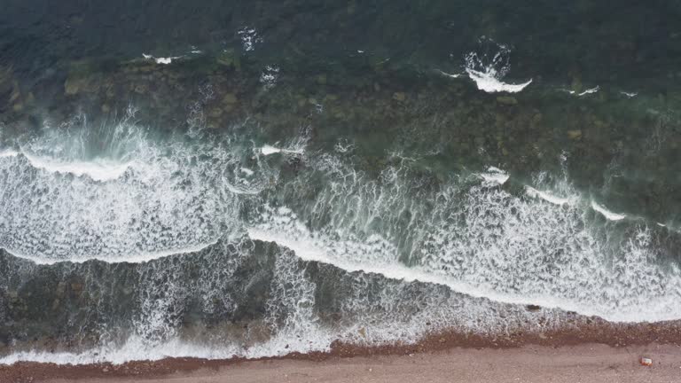 یکپارچهسازی ابزارهای دیجیتال مارکتینگ برای موفقیت پایدار