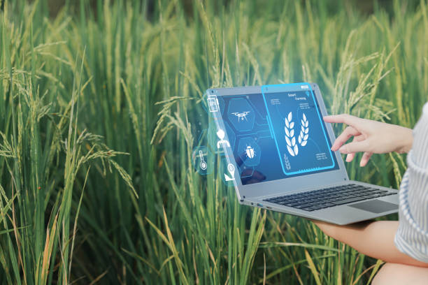 بازاریابی دیجیتال کشاورزی و استراتژی سئو برای وبسایت گلخانه