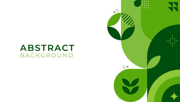 طراحی وبسایت در ایران برای محصولات ارگانیک