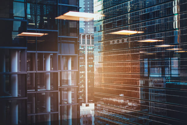 برندینگ دیجیتال سلامت برای کسب و کارهای گیلان