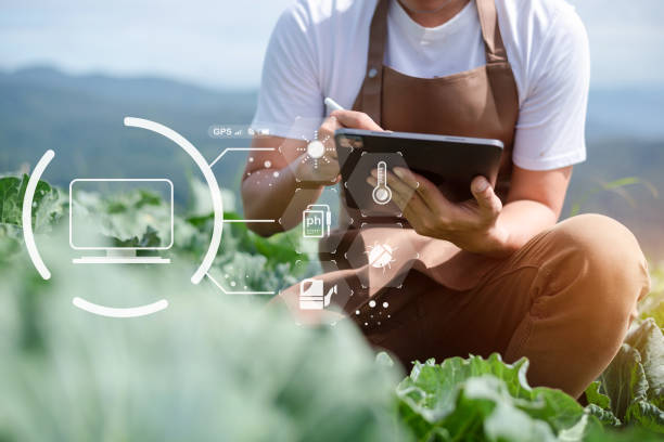 بازاریابی دیجیتال کشاورزی با استفاده از تبلت