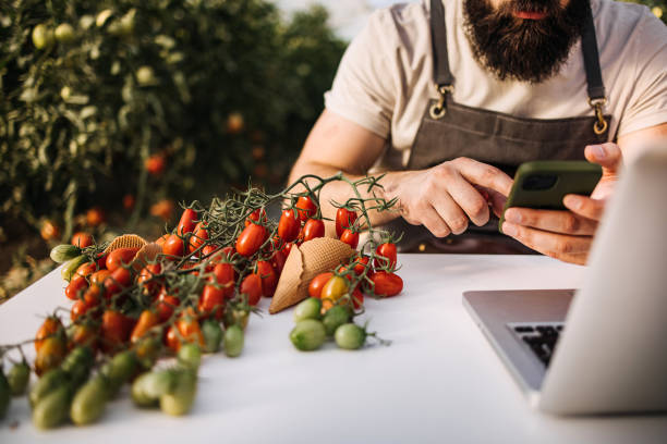 بازاریابی دیجیتال گلخانه و تحلیل داده برای افزایش فروش محصولات کشاورزی