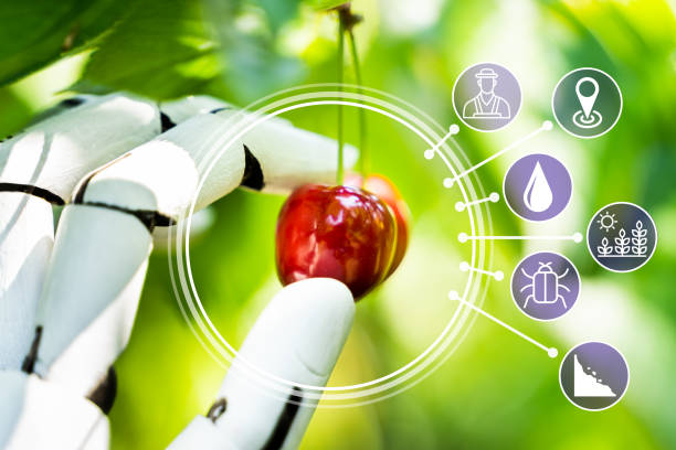 نقش هوش مصنوعی در صنعت غذا 2025 و مدیریت زنجیره تامین هوشمند