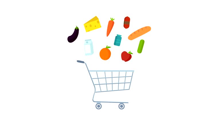 ساخت فروشگاه اینترنتی محصولات ارگانیک در اردبیل با طراحی حرفهای