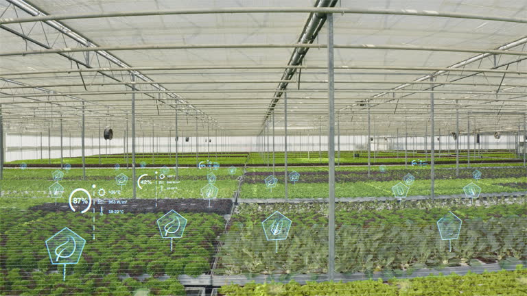 تجارت الکترونیک کشاورزی و طراحی وبسایت فروشگاهی مدرن برای گلخانه