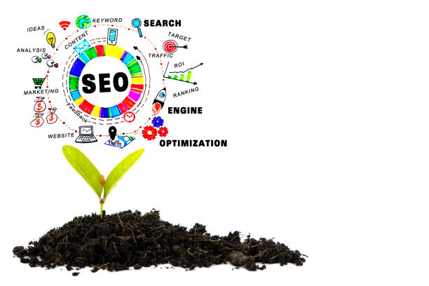 بازاریابی دیجیتال باغبانی و آنالیز رقبا