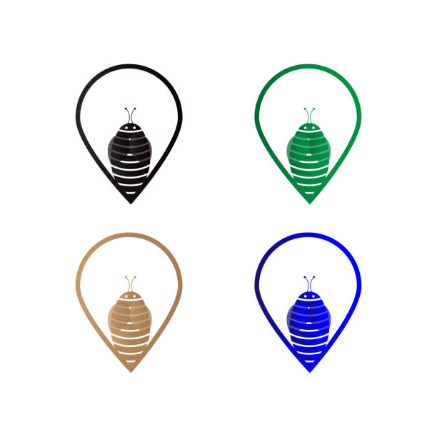 طراحی وبسایت فروشگاهی برای برندسازی عسل در ایلام