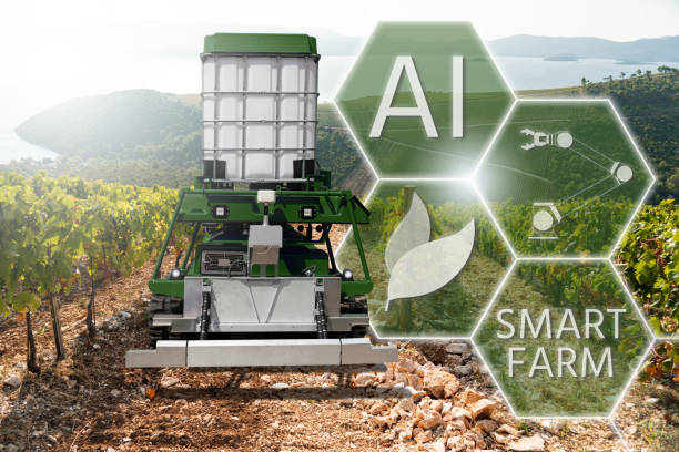 ربات سمپاش خودران در حال کار در تاکستان - اوج فناوری در کشاورزی و هوش مصنوعی