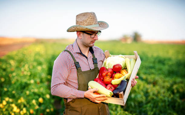 خرید مستقیم از کشاورزان از طریق پورتال B2B