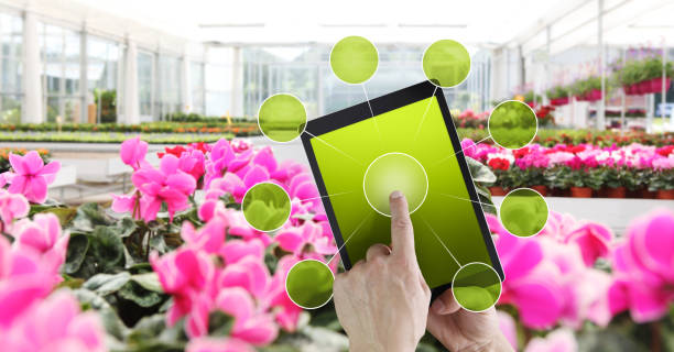 راهنمای جامع طراحی سایت برای گلخانهها و فروش آنلاین محصولات کشاورزی