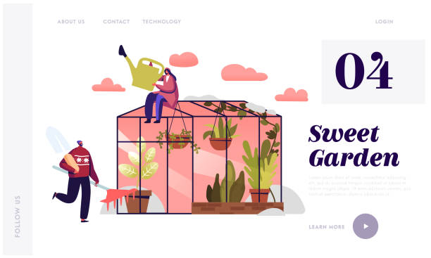 طراحی سایت گلخانه با امکانات فروشگاهی پیشرفته و تجربه کاربری عالی