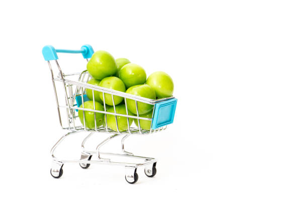 سئو محلی برای فروشگاه آجیل و خشکبار در مرودشت