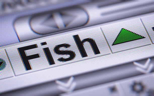 سامانه مدیریت مشتریان و طراحی وبسایت فروشگاهی برای مزارع ماهی