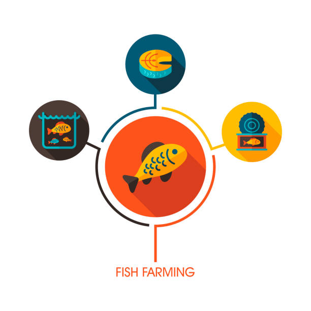 سئو برای بازاریابی مزارع ماهی