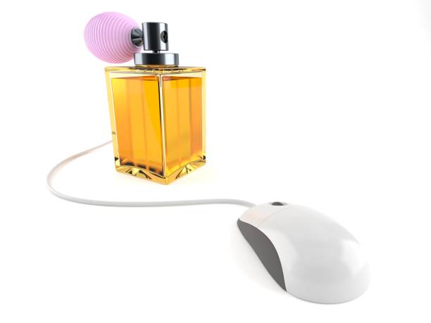 خرید آنلاین عطر از فروشگاه اینترنتی سریع - پینو سایت