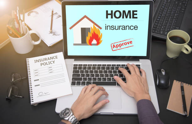 استراتژی دیجیتال دامپزشکی برای تسخیر سئو محلی