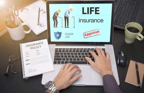 مدیریت برندینگ آنلاین دامپزشکی و استراتژی دیجیتال دامپزشکی