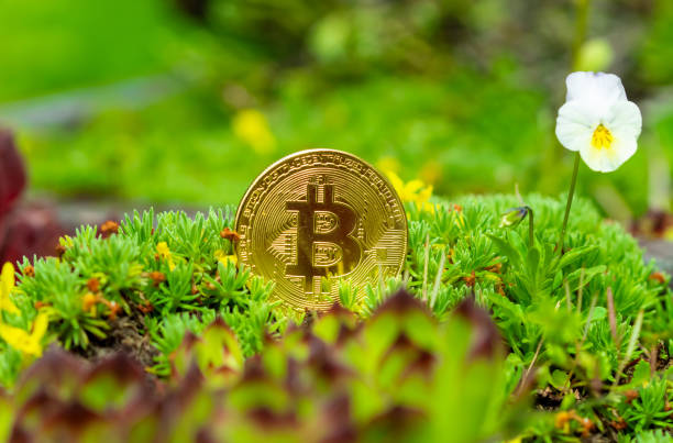 استفاده از بلاکچین در کشاورزی برای تضمین اصالت محصول