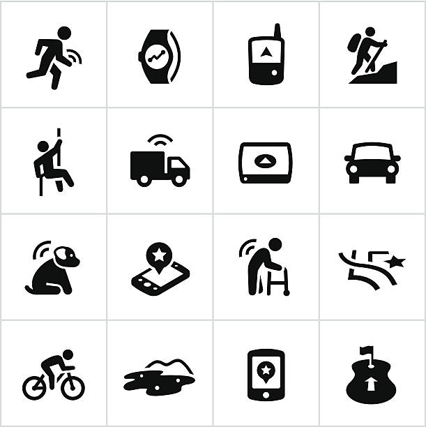 بهینه‌سازی سایت دامپزشکی برای نقشه گوگل