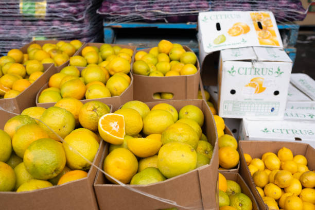 فروش مستقیم محصولات کشاورزی در بازار آنلاین