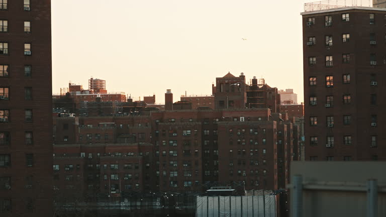 جذب پروژه‌های انبوه‌سازی در خوزستان با سئو B2B