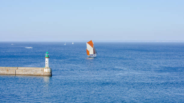 آموزش صادرات فیروزه از طریق وبسایت