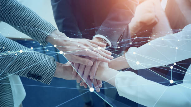 تحول دیجیتال در همکاری B2B، طراحی پورتال B2B و تجربه کاربری (UX) توسط پینو سایت برای تولیدکنندگان مبلمان اراک