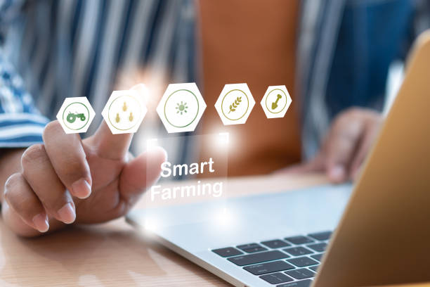 بازاریابی دیجیتال رستوران با وبسایت حرفهای