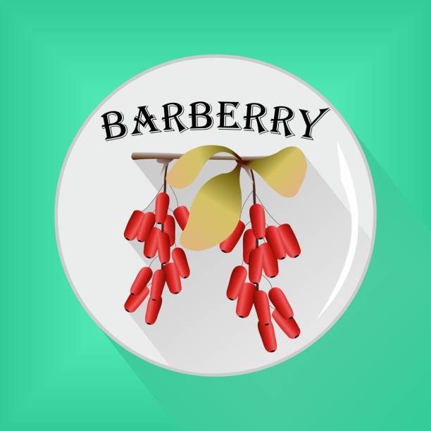 سئو محتوایی و بازاریابی زرشک در بازار سلامت