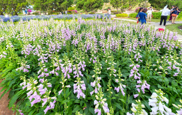 بازاریابی دیجیتال گردشگری سلامت در اردبیل