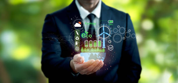 طراحی سایت فروش گل و گیاه با رویکرد پایدار و دوستدار محیط زیست