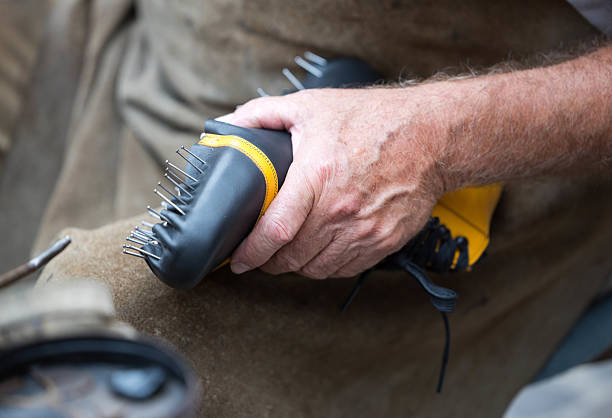 ساخت سایت حرفهای و اختصاصی توسط پینو سایت