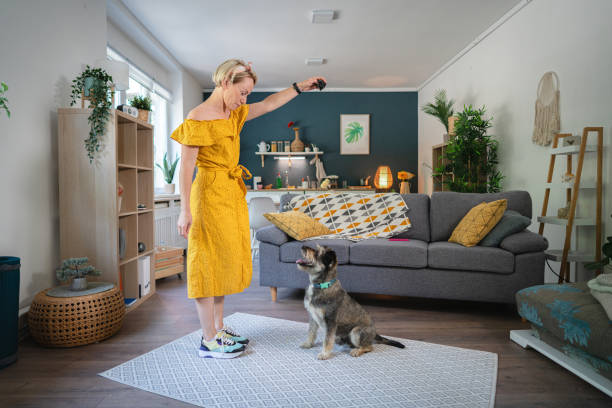 تجربه خرید فرش آنلاین با تکنولوژی واقعیت افزوده