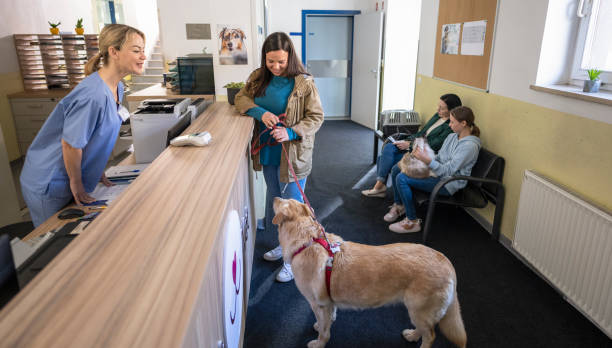 مدیریت سلامت حیوانات خانگی در شیراز با نرم افزار CRM