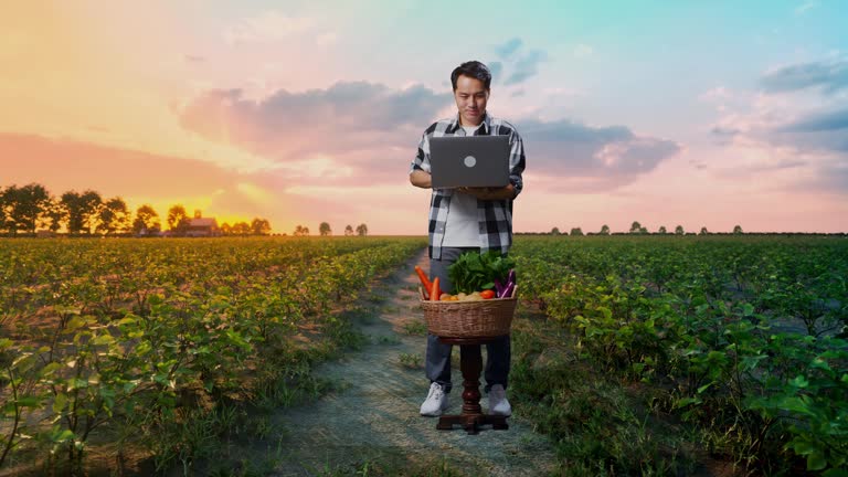 همکاری با رستوران‌ها برای فروش عمده محصولات کشاورزی