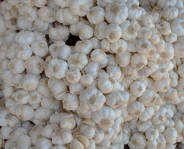 تضمین کیفیت و اصالت گیاهان دارویی دنا