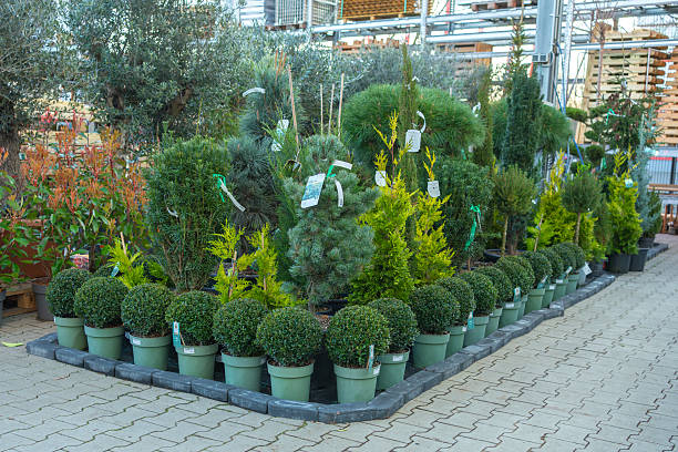 طراحی وبسایت در ایران برای فروشگاههای زنجیرهای