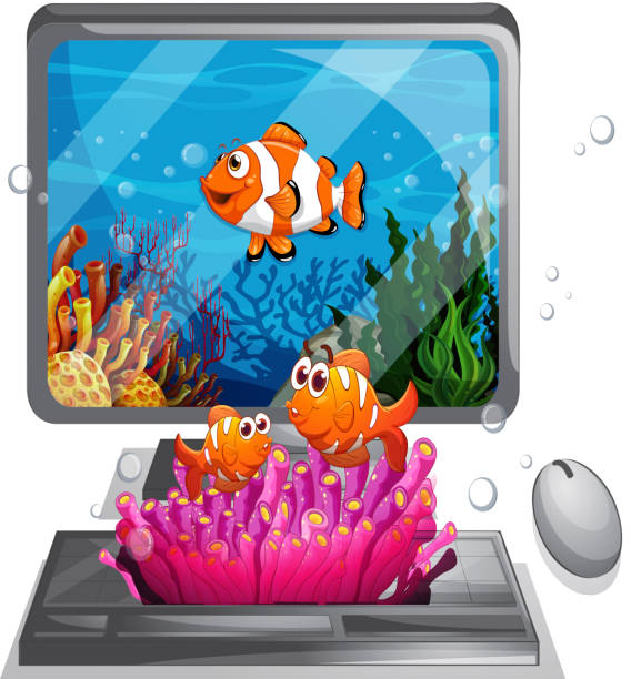 طراحی وبسایت فروشگاهی در ایران برای فروش ماهی