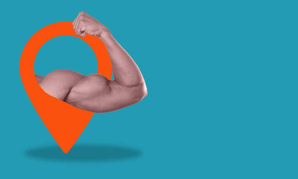 سئو محلی پیشرفته برای باشگاه بدنسازی در بجنورد و جذب مشتری